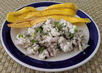 Scott_6 ceviche&plantain rgb.jpg