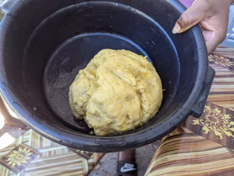 Scott_6 plantains.jpg