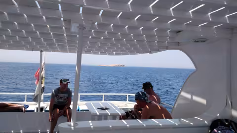 Shank_Hurghada_0973.jpg