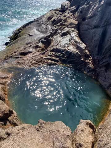 Skinner_rockpool.jpg