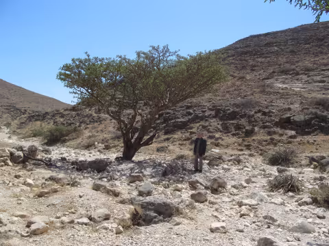 Skurdenis_Oman_0191.jpg