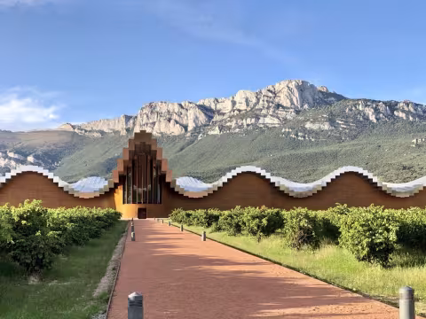 Spain_winery.jpg
