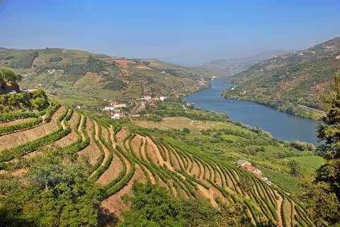 Steves_Douro-a.jpg