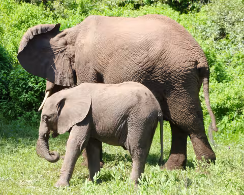 Tanzania_4937.jpg