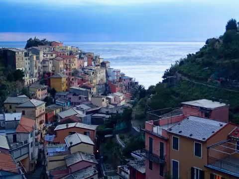 Wine_Manarola.jpg