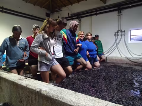 Wine_Mashing Port Grapes.jpeg