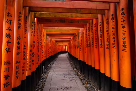 photo_Fushimi_Inari_Shrine.JPG