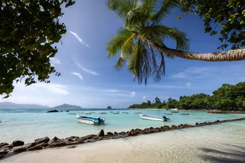 Sandy beach with boats and palm trees in the Seychelles. Photo by Luca Cavallin on Unsplash.