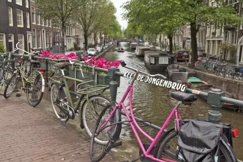 steves-bicycles-20201124.jpg