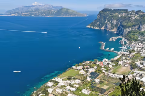 steves-capri-20211221.jpg
