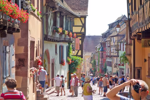 steves-colmar-20210706.jpg