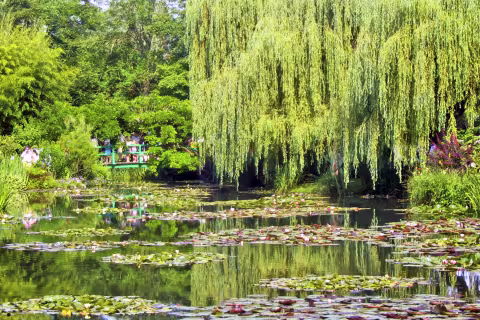 steves-monet-20200623.jpg