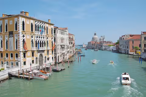 steves-venice-20200728.jpg