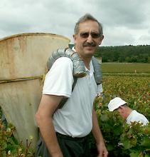 David wearing the grape-harvesting basket. Photos by Joanna Schwarcz