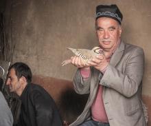 In the blacksmith section of the central market of Istaravshan, Tajikistan, the shops also serve as gathering places. This gentleman was proud to pose for us with his quail used in bird fights (April 2017). Photo by Nick Stooke