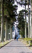 Magnificent stands of trees grace the Sete Cidades landscape. Photos: Gail Keck