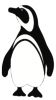 penguin penguin