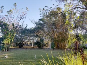 Backyard bird-watching space behind Hotel Robledal in Costa Rica.