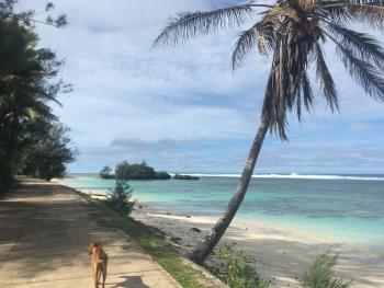 This puppy adopted me for my stay on Rimatara and became my “guide.” Tips, in the way of food, were greatly appreciated.