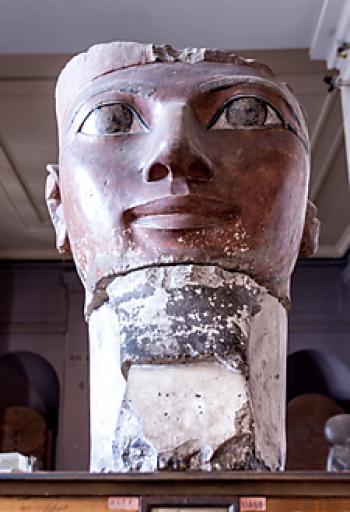 Painted limestone head of a bearded Queen Hatshepsut, Egypt’s first female pharaoh, at Cairo’s Egyptian Museum.