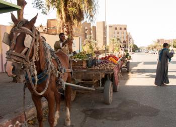 A vendor offering fresh produce for sale on the main street in Aswan.