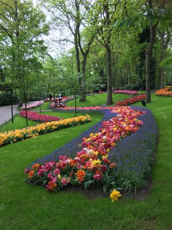 Part of Keukenhof gardens in Lisse, Netherlands.
