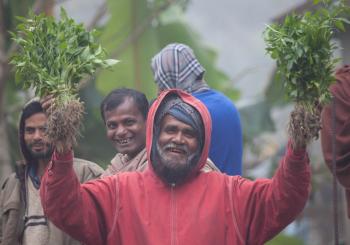 The vegetable man.