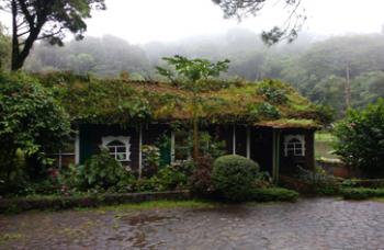 Cabin with its roof overgrown with vegetation — Selva Negra Ecolodge in Matagalpa, Nicaragua. Photos by Dave Wiltzius