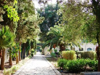 San Anton Botanical Gardens — Malta. Photo by Sandra Scott