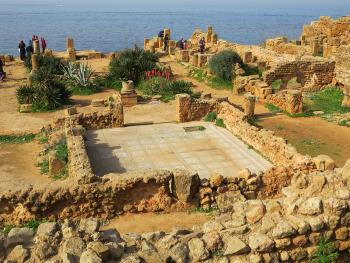 The mosaics of Tipasa were well preserved, considering they are not covered and are walked on by scores of visitors each year.