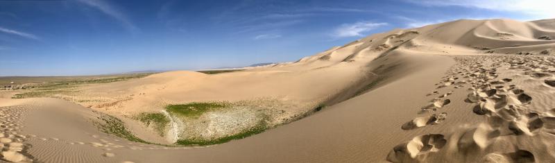 The Khongor sand dunes in the northern Gobi Desert.